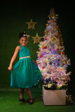 RUFFLES RACER 1 DRESS